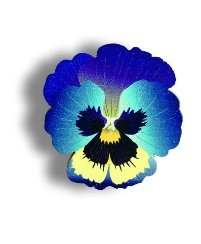 WOODSLOT брошь значок цветок анютины глазки 2 br33